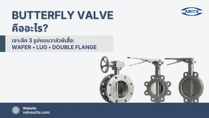 Butterfly Valve