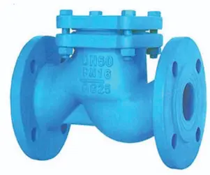 lift-check-valve
