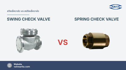 Swing-and-Spring-Check-Valve-by-ARITA