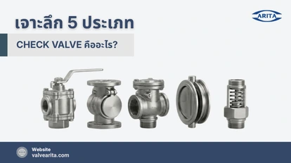 What is a check valve